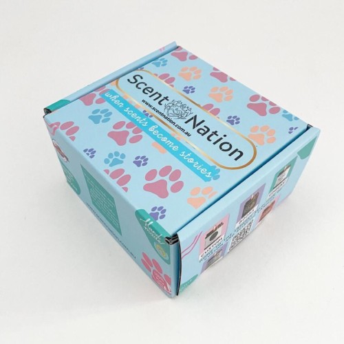 Aircraft box 3